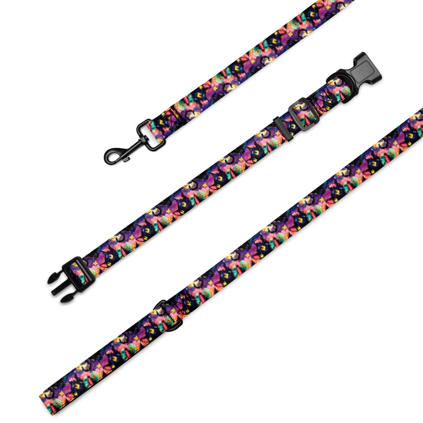 Pet collar & leash