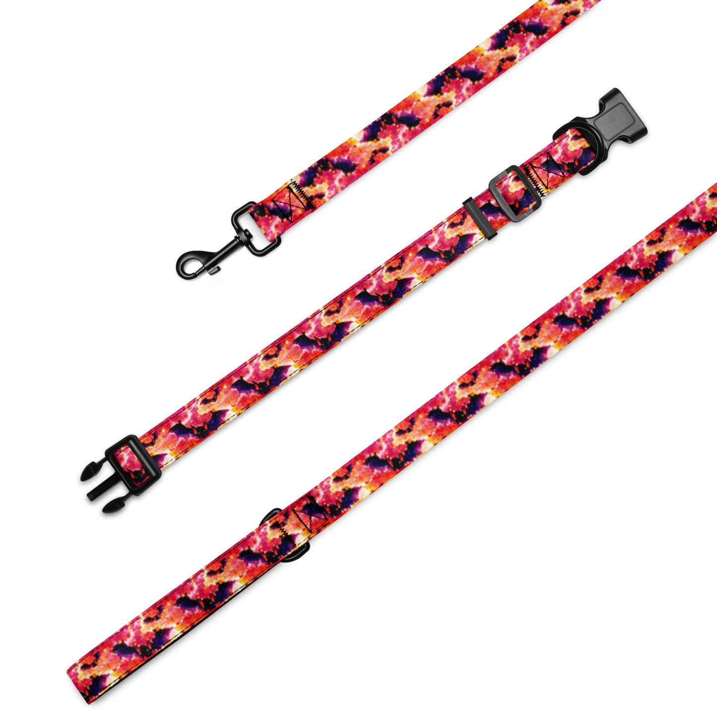 Pet collar & leash