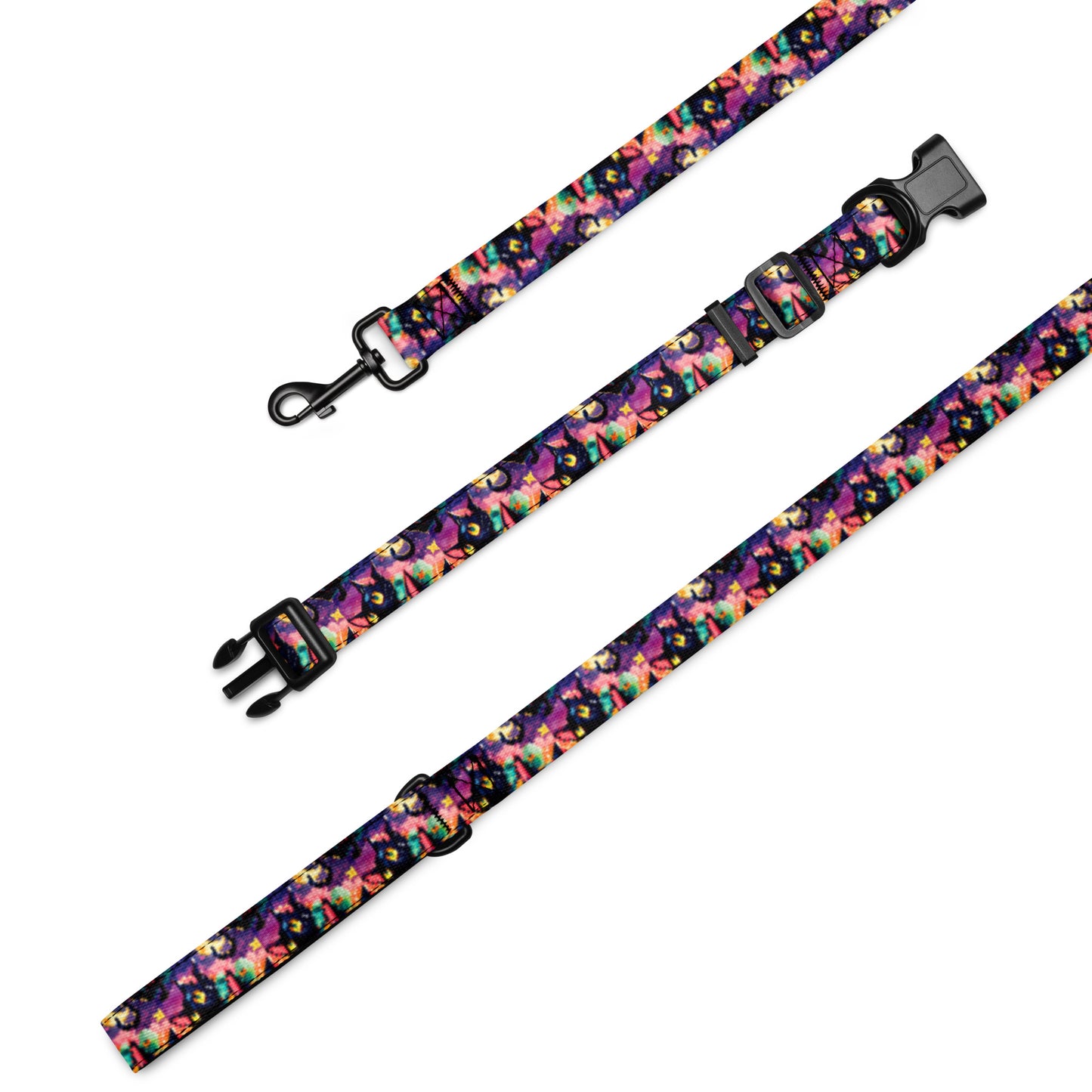 Pet collar & leash