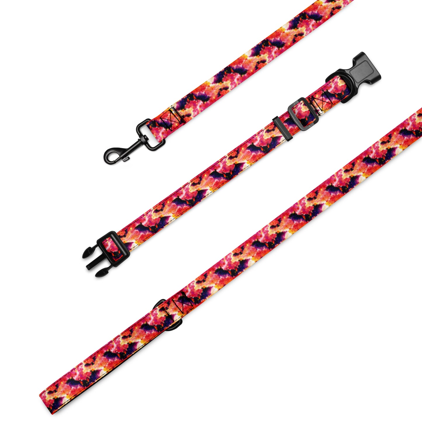 Pet collar & leash