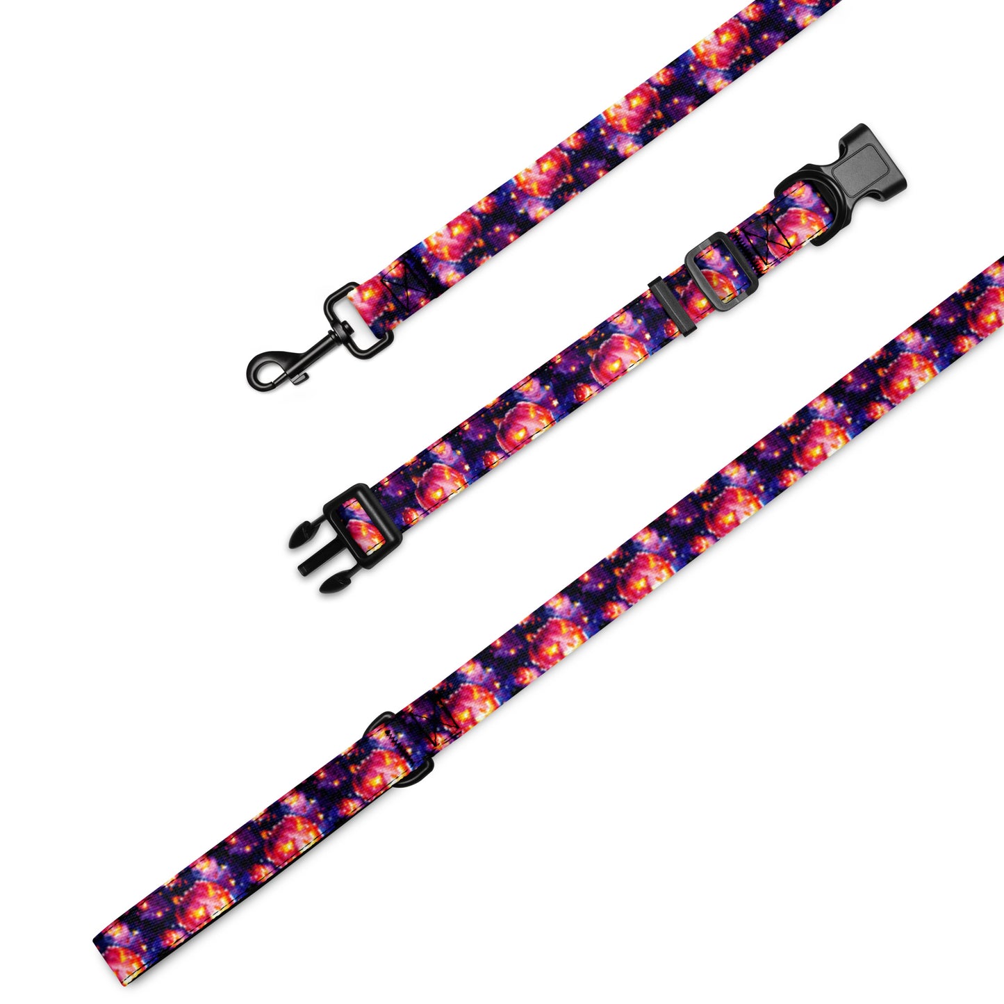 Pet collar & leash